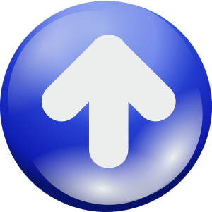 Retour en haut de page